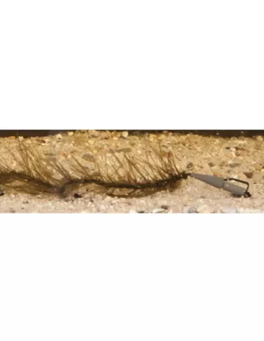 Anaconda Leadcore Hippie - Afbeelding 2