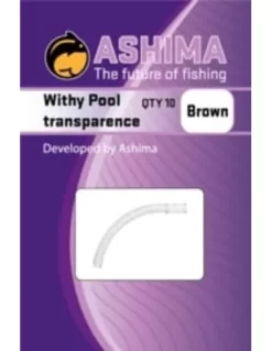 Ashima Whity Pool Transparence
