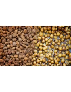 Carpcube Tijgernoten