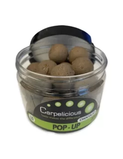 Carpelicious Pop Ups Chocolat
