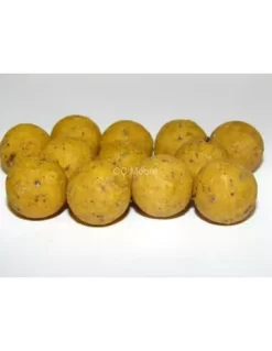 CC Moore Live System Shelflife - 5kg