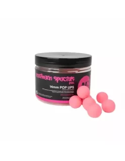CC Moore Pink Northern Specials NS1 Popups