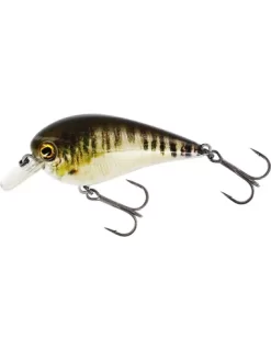 Westin Bassbite Squarebill 6cm